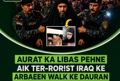Fact-check graphic addressing a viral claim about Arbaeen security