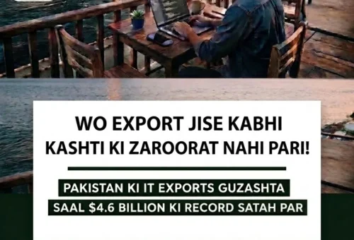 A remote worker using a laptop by the water, representing Pakistan's growing IT export sector